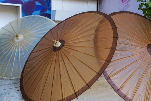 數(shù)字化升級(jí)，共創(chuàng)美好未來——紙世界網(wǎng)的紙制品銷售新篇章